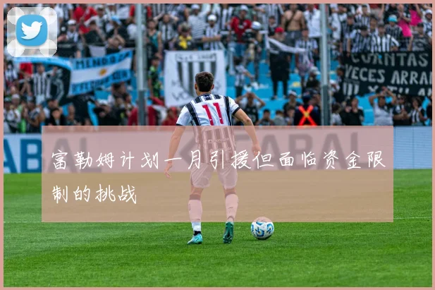 富勒姆计划一月引援但面临资金限制的挑战